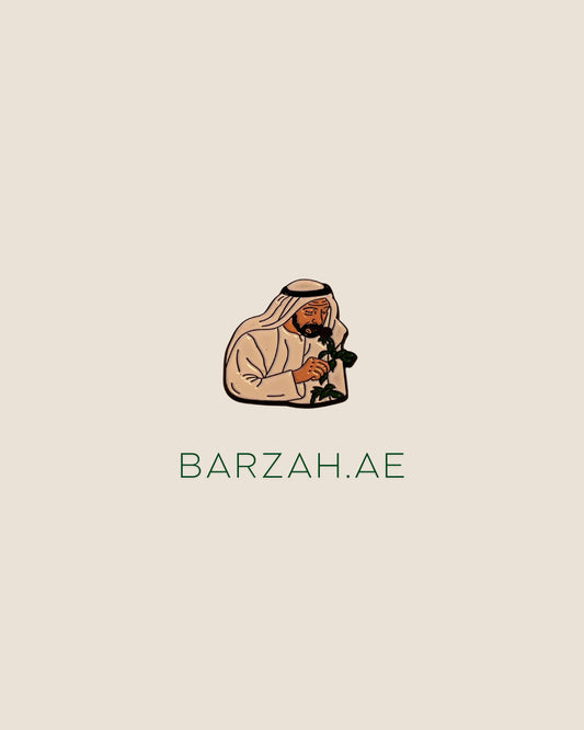 الشيخ زايد